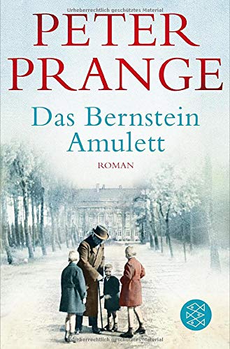 Preisvergleich Produktbild Das Bernstein-Amulett: Roman