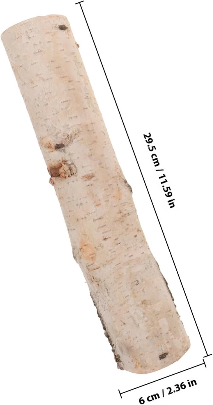 白樺の小枝4本 天然白樺材の装飾用丸太 DIYクラフト用乾燥木工棒 多目的アート素材 クラフト フラワーアレンジメント 写真撮影用小