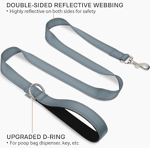 image for Joytale Double-Sided Reflective Dog Leash, 4 FT, Padded Handle Nylon H