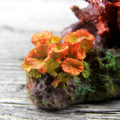 Saim Polyresin Coral Ornaments, Aquarium Coral Fish Tank Rocks Artificial Coral Decor Shell Ornaments Reef Aquarium Coral Decoration For Betta Fish Tank Fish To Sleep Rest Hide Play #TOP6