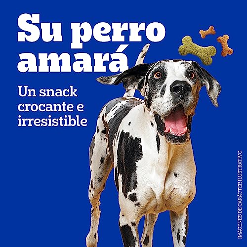 La Mejor Selección de Premios para perro los mejores 10. 30 Imagen adicional