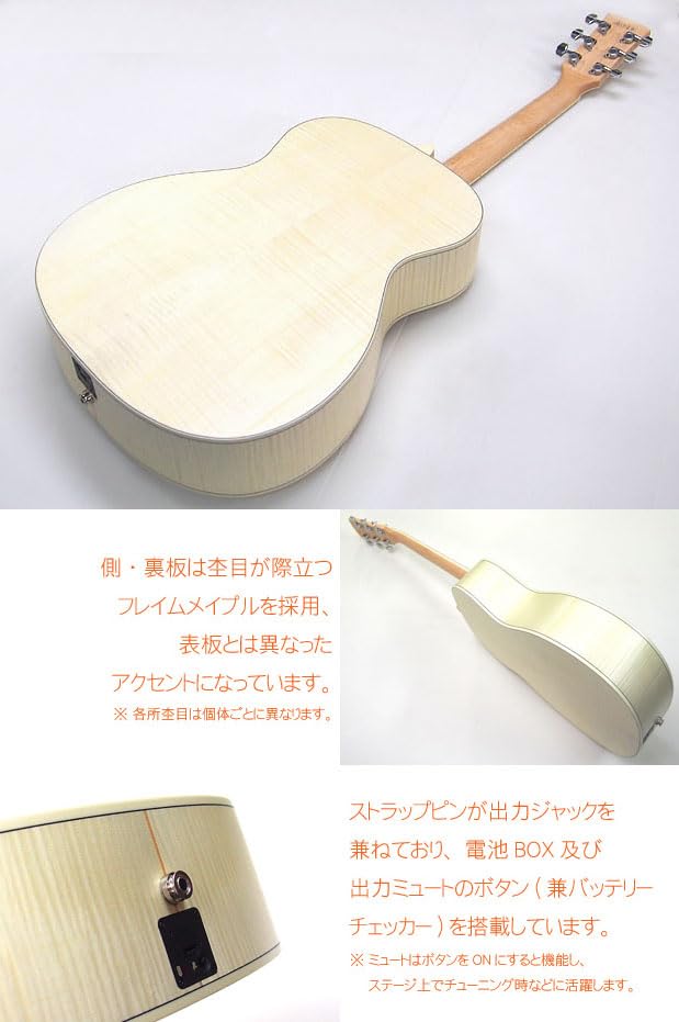 Amazon | アイバニーズ Ibanez AC419E OAW アコースティック