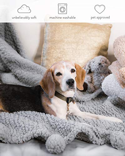 Premium Grey Fleece Throw Blanket, Luxurious Fuzzy Blanket, Blankets And Throws, Ultra Soft Blanket, Fluffy Blanket,Plush Blanket, Thick Blanket, Plush Blanket, Fleece Blanket (Full Size, 60” x 49.5”)