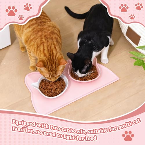 Gamelle chat céramique large anti-déversement avec tapis surélevé étanche - 14