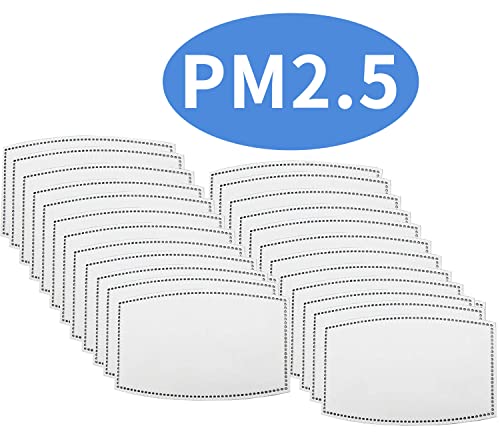 Filtri a Carbone Attivo PM2.5, 5 Strati