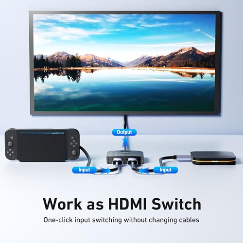 4K video switcher Dual Zone product image