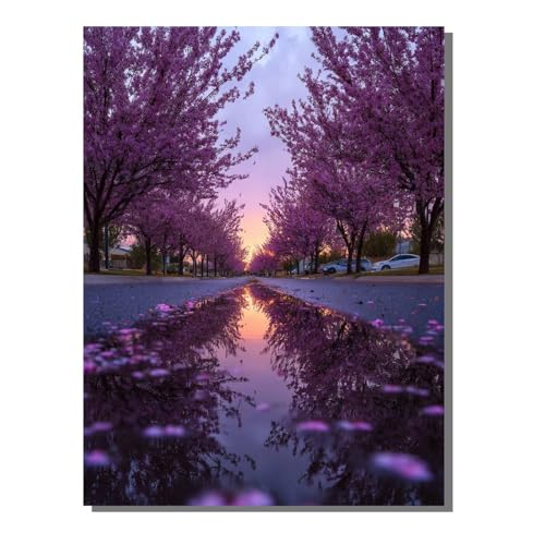 G Xg[gr[ hG (t[X) l̎q̂߂̃Mtg ŃyCg SҌ LbgŃyCg fW^G i 80x110 cm uV36ANG̋Ă܂ DIY Paint by Numbers r