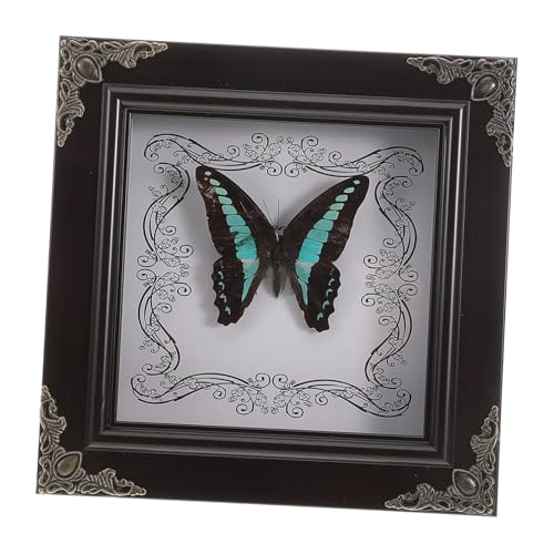 Cuadro de mariposa real para estanterías, marco de madera decorativo para un salón elegante