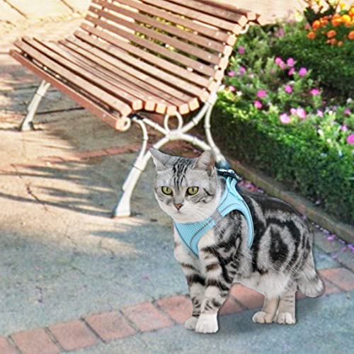 Mairbero Dog And Cat Harness Harness And Leash Set - Breathable Step-In Vest Harnesses For Small Medium Dogs(Blue S) #TOP6