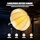 NEEWER 65cm Laternen Softbox, Schnellentriegelung, 360° Lichtdiffusor, Bowens Halterung, Softbox mit Leichter Nylonlegierung, für RGB CB60 CB60B CB200B MS60B MS60C MS150B, kontinuierliche LED, NS26L