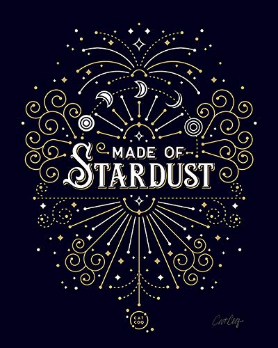 Cat CoquilletteMade of Stardust Canvas, Multicolour, 40 x 50cm