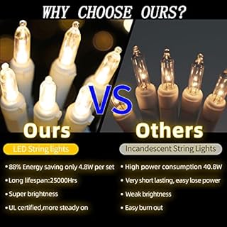 LAMPHOME 100 Mini LED Count Warm White -String Lights - 21.6FT LED Christmas Lights, Mini led Lights for Outdoor Home Holiday Party Wedding Independence Day Decoration