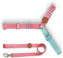 Toh Conjunto Peitoral Antipuxão E Guia Fiji P