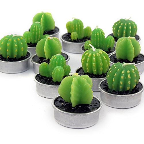 Ornerx Decorative Cactus Candles Tea Light Candles Set For Spa Wedding Party Home Decoration Valentines Day 12 Pcs #TOP3