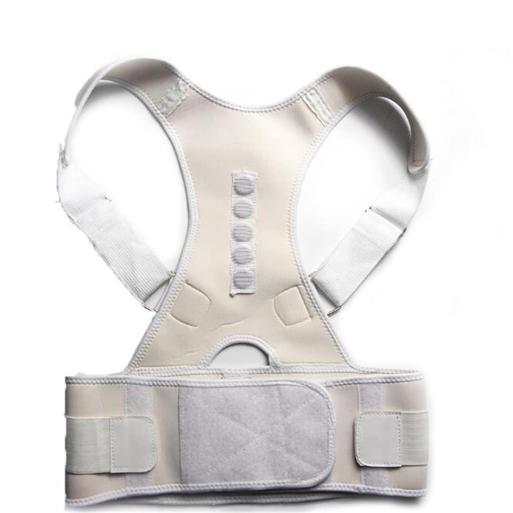 Posture Corrector Brace Supports Belt Shoulder Back Support Belt for Shoulder Posture Onecolor XL code