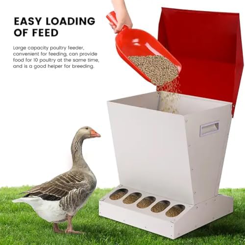 Comedero automático para pollos, diseño de metal resistente a la intemperie, capacidad de 25 libras, tapa a prueba de derrames, adecuado para aves de corral, incluyendo pollos, patos, gansos, pavos y