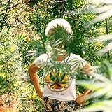 It is What it is [Explicit]