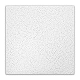 Armstrong Ceiling Tiles; 2x2 Ceiling Tiles - 16 pc White; Acoustic Ceilings for Suspended Grid; Random Textured 935