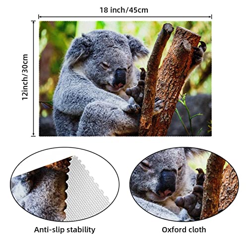 Set de table koala antidérapant et résistant à la chaleur pour table à manger