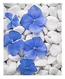 Gran variedad de colores y tamaños. Recuerde para hacer la medición correcta que la medida de ancho es el total incluyendo el mecanismo, por lo que la tela son unos 4 cm menos.