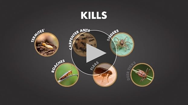 Beatnik Termites/Sweatin' to the 〜 s267713503118407560_p223_i1_w1