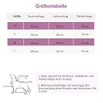 Hundeshirts für Kleine Hunde Katze - Polka Punkt Shirts für Hunde Tshirt Hundepullover Dünn Hundehemd Kleine Hunde Chihuahua Kleidung Katzen Kleidung, Rosa L – Bild 2