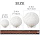SKOOLOVE 25 Stück Weiße Jakobsmuscheln Natürliches Muscheln Deko Muschel Schale für Handwerk Hochzeit Dekoration Strand Theme Party, Fischtank,DIY(5-7cm)