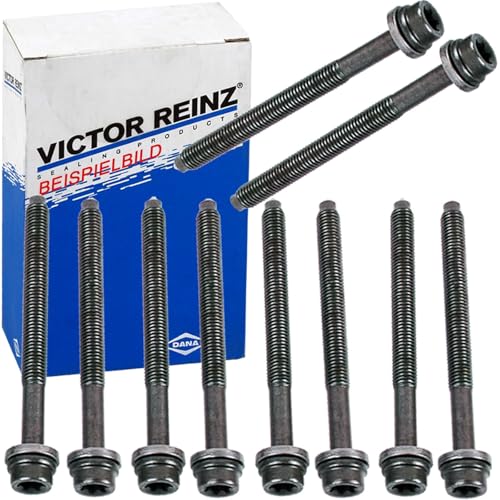 Reinz 14-32101-01 Kit pour boulon de culasse, Silver