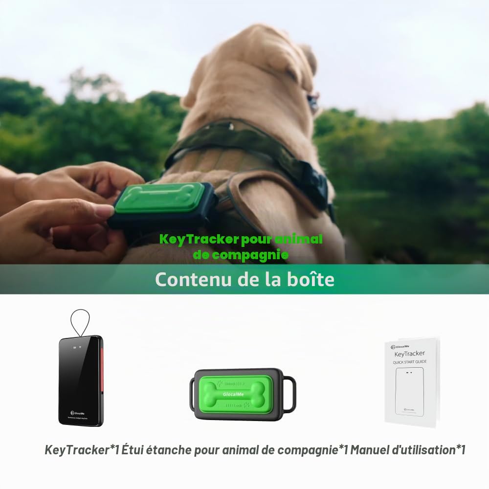 GlocalMe Tracker GPS pour chien avec 6 techniques de localisation, tracker intelligent 4G LTE, suivi en direct et historique des positions, design adapté