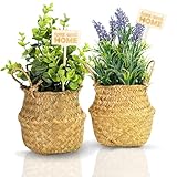 🌸 KOMPLETTES SET: Verschönere dein Zuhause mit dem bezaubernden Eukalyptus und Lavendel künstlich! Im Set enthalten: 2 Boho Deko Körbe und Pflanzenstecker. Inkl. edlem Geschenkkarton!