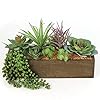 Boxed Succulent Assortment 12 x 3 Tall x 4 Wide Set of 6 Natural Sized Artificial Plants Realistic Durable Lifelike Faux Succulents for Home Decor Office Space Faux Plants Indoor