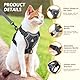 GlasFlength Katzengeschirr mit Leine Ausbruchsicher, Katzenleine mit Geschirr für Katzen Verstellbar Katzen Geschirr Set Cat Harness Softgeschirr für Katze mit Reflektierenden Streifen (Grau-S)