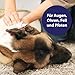 Canosept Universal Pflegetücher für Hunde 160 Stück -Ohrenreiniger Hund, Pfotenpflege Hund, Augenpflege Hund, Fellpflege Hund - Hunde Pflege mit Aloe Vera & Hamamelis - Feuchttücher Hund