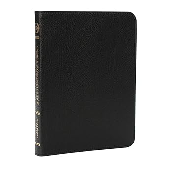 Imitation Leather Legacy Standard Bible, New Testament with Psalms and Proverbs - Faux Leather Faux Leather Black Book