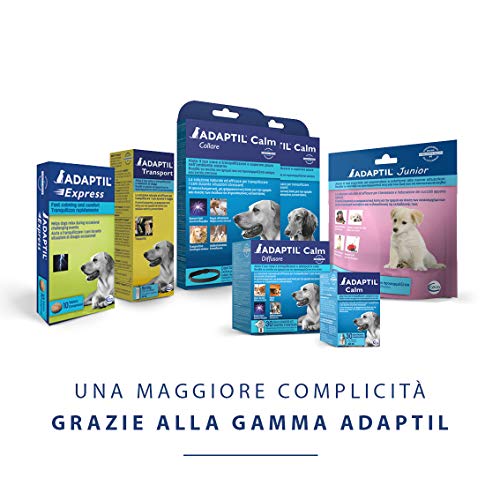 ADAPTIL Calm Beruhigendes Halsband für Hunde, Größe M/L, mittelgroße und große Hunde, beruhigende Pheromone, Stressabbau für hyperaktive, ängstliche Hunde, Entspannung für Hunde, Reisen und stressige