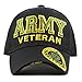 THE HAT DEPOT 1100 Official Licensed Military 3D Embroidered Army Veteran Cap (Army-Black)