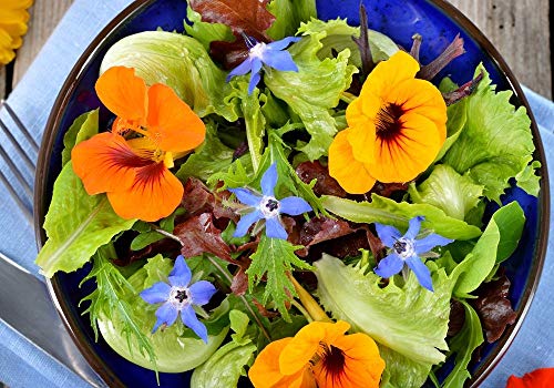 Hierbas comestibles y flores mezcla semillas -