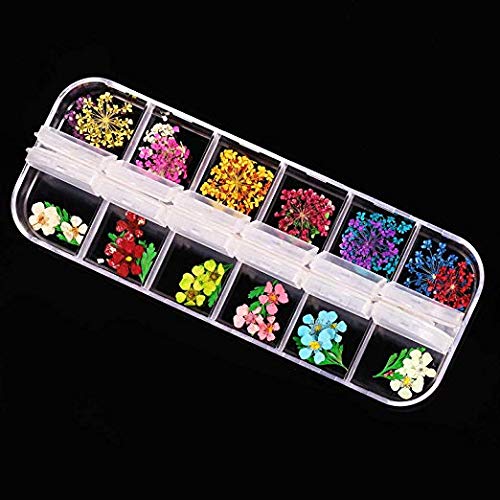 12 Color Nail Dried Flowers, Nail Art Flowers, Sticker Nail Decor Flower for Nails, Manicure Flowers Nail Accessories …
