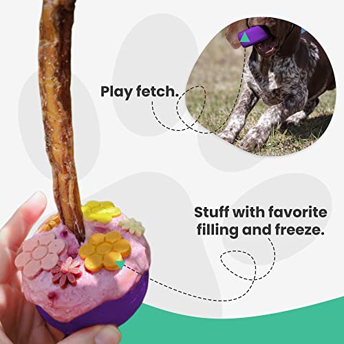 Bully Stick Holder - Medium Size - Interaktives Hundespielzeug und Hundesicherheitsvorrichtung