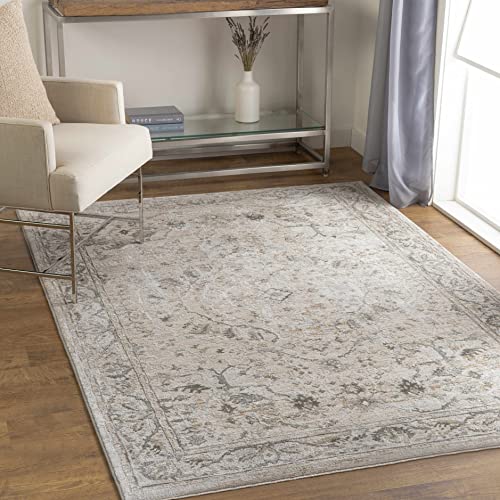 Image of Hauteloom Claridge Living Room, Bedroom Area Rug - Medallion Floral Border Distressed Faded - Traditional Oriental Transitional Oushak Turkish - Gray, Taupe, Beige, Cream, Brown - 6'7 inch x 9'6 inch