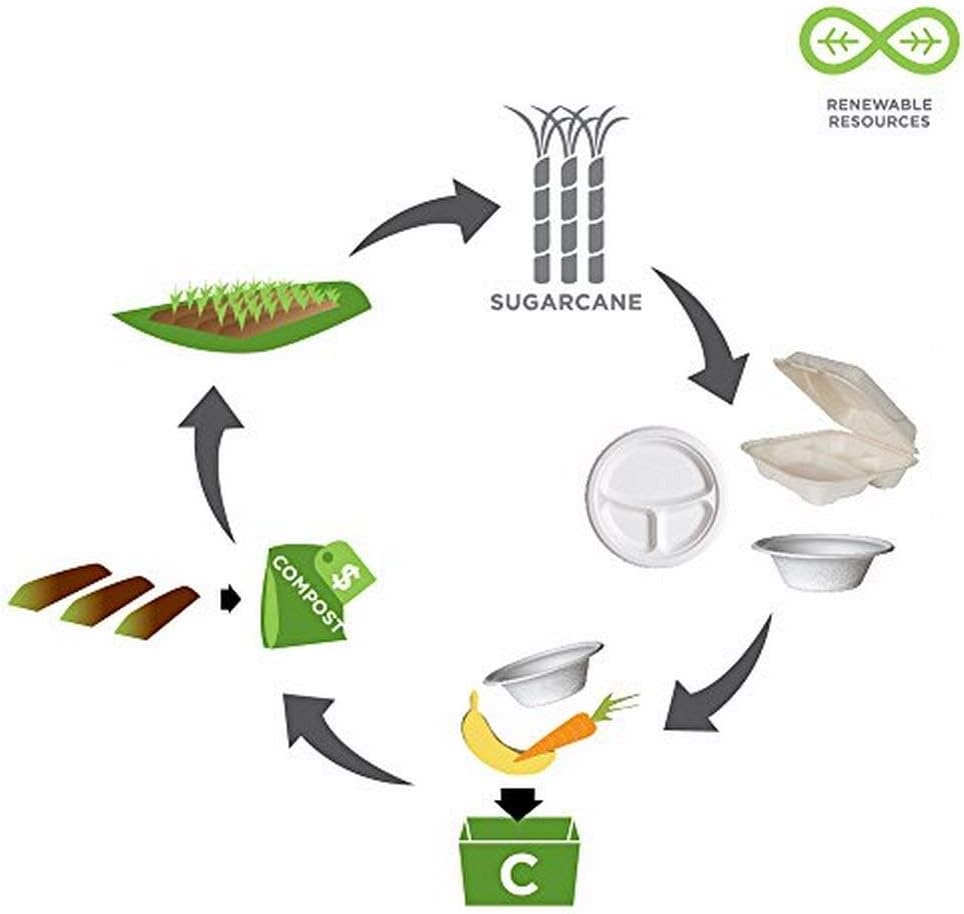 Eco-Product EP-B002 Plant Based Plastic 2 Compartment Renewable and Compostable Sugarcane Clamshell, 9" Length x 6" Width x 2-1/2" Height (Case of 2, 125 Per Pack)