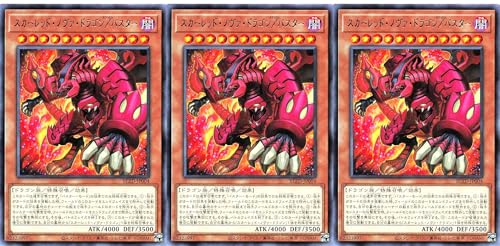 �y3���Z�b�g�z BLZD-JP004 �X�J�[���b�h�E�m���@�E�h���S��/�o�X�^�[ ���A R �u���C�W���O�E�h�~�j�I�� BLAZING DOMINION �X�J�[���b�h�m���@�h���S��/�o�X�^�[