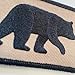 Gadsden and Culpeper Black Bear Wildlife 2
