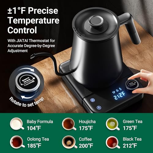HIYAKOI Gooseneck Electric Kettle