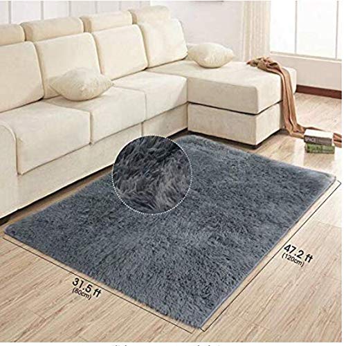Area Rug Light Grey Modern Shaggy Carpet for Baby/Pet Room/Bedroom/Living Room  (3x4ft (120x 80cm))