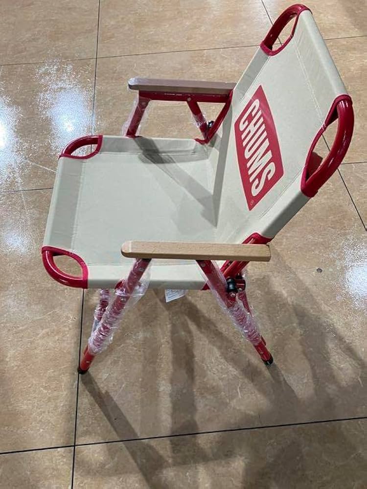 Amazon.co.jp: チャムス chums バックウィズチェア アウトドア 椅子