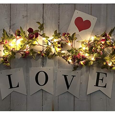 Fielegen 2 Meter LED Rose Flower Garland Cover