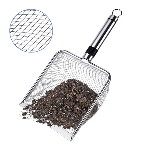 |pyӂ邢(1ZbgA3.8mm)