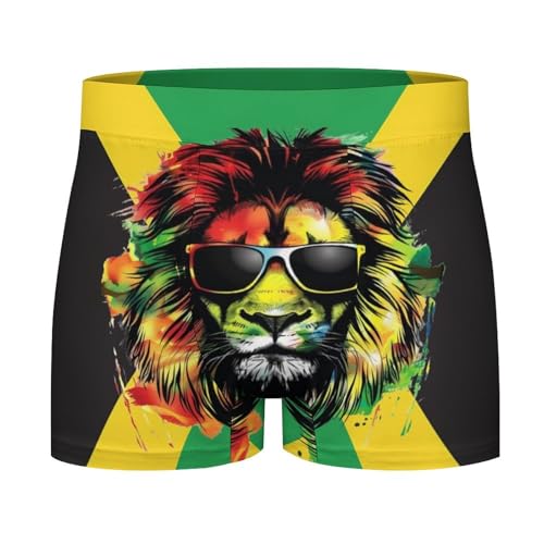 Jamaican Flag with Lion Men's Boxer Briefs Stretch Waistband Breathable Underwear4