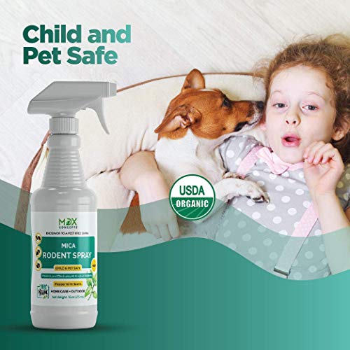 mdxconcepts Mice Repellent Spray - Peppermint Oil - Humane Mouse Trap Substitute - Made in USA - 16 oz Organic Spray - Guaranteed Effective - Works for All Types of Mice & Rats